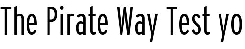 Font : Interstate-LightCompressed 2 Custom Text : The Pirate Way Test your own text here Click to download or to view this font on a tshirt that can be custom printed in Bali